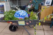 Planted wheelbarrow - Blooming Haddington