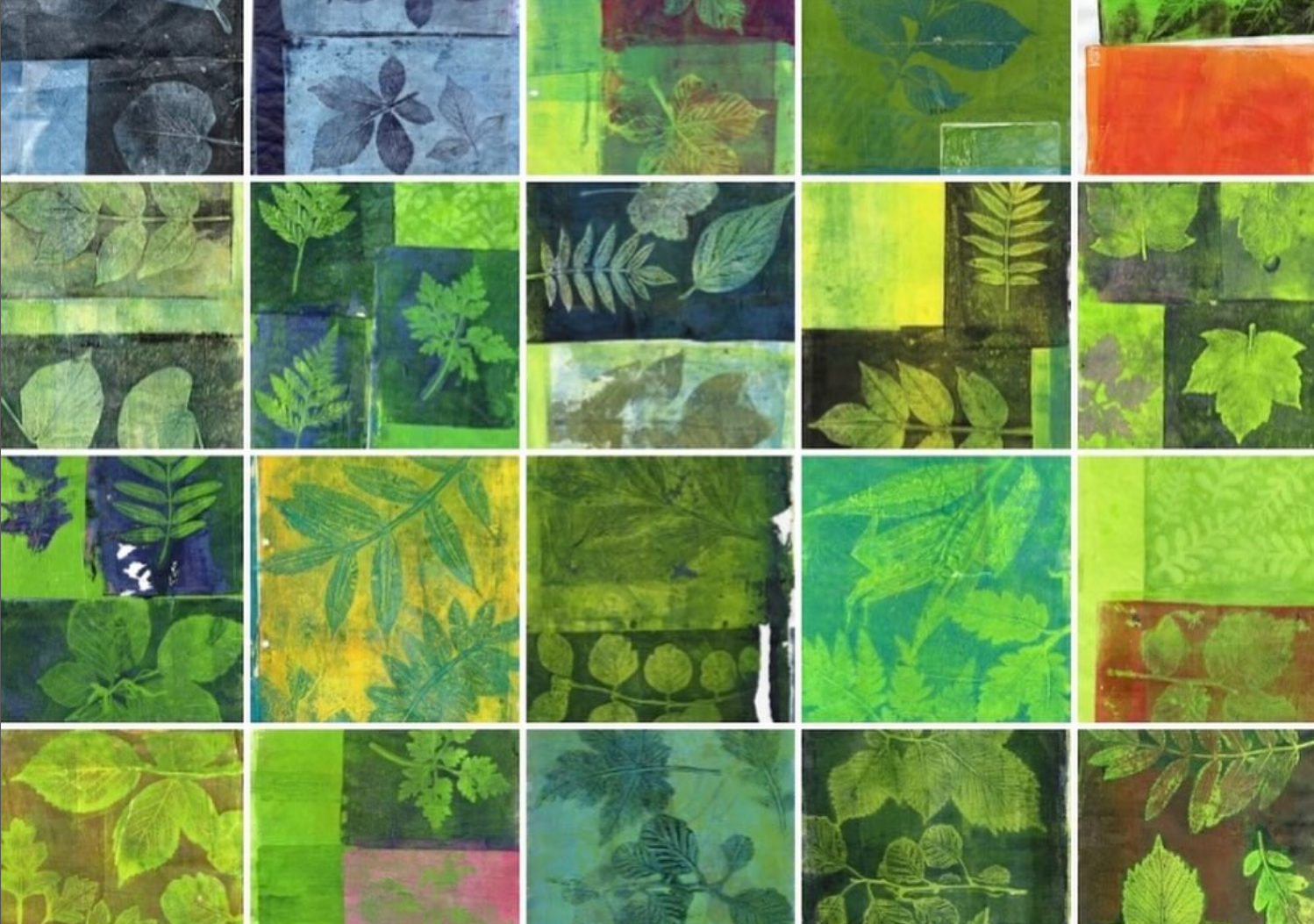Collection of monoprint images using leaves