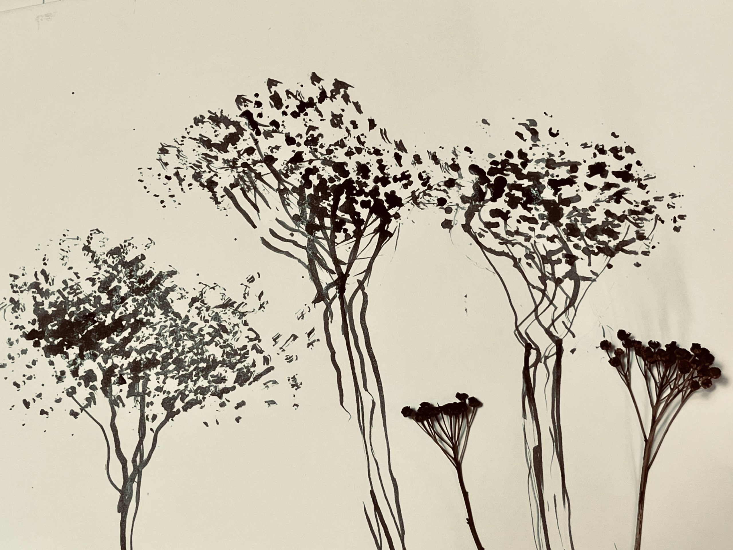 Experimental Drawing, Drawing Without Fear with Fee Scroggie