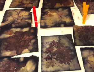 ecoprints on paper made with plants