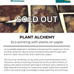 Plant Alchemy workshop - sold out